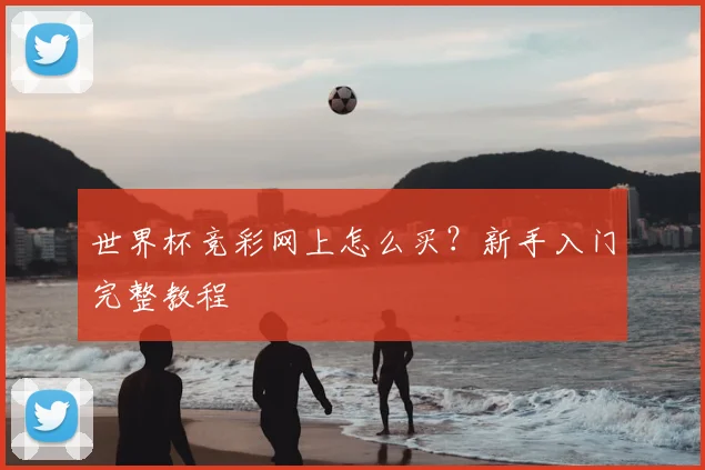 世界杯竞彩网上怎么买？新手入门完整教程