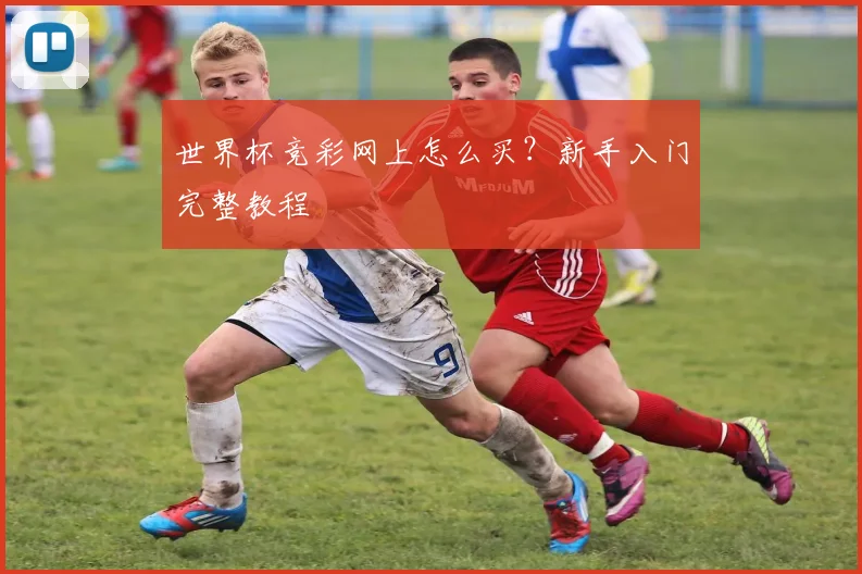 世界杯竞彩网上怎么买？新手入门完整教程