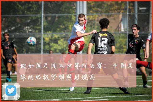 假如国足闯入世界杯决赛：中国足球的终极梦想照进现实
